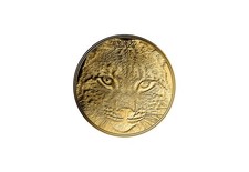 Goldmünze Motiv Luchs