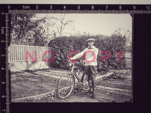 1930 orig glas negativ 6x9 - orig.,