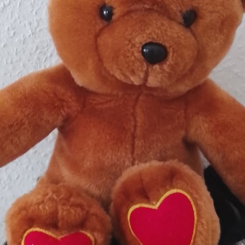 Brauner plüschbär teddybär - plüschbär,