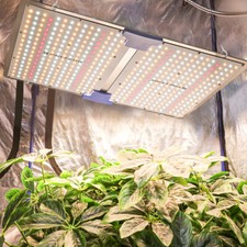 Phlizon 2000W LED Grow Light Pflanzenlampen Vollspektrum Dimmable indoor plants