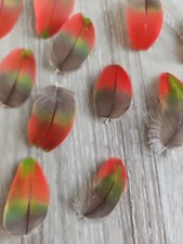 16 x  grün rote💚❤️