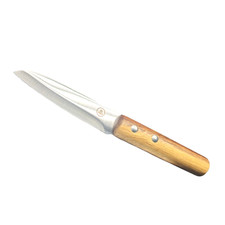 Küchenmesser Schälmesser