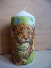Deko Kerze - Tiere Raubkatze Leopard Dschungel Natur Artenschutz Safari Urlaub
