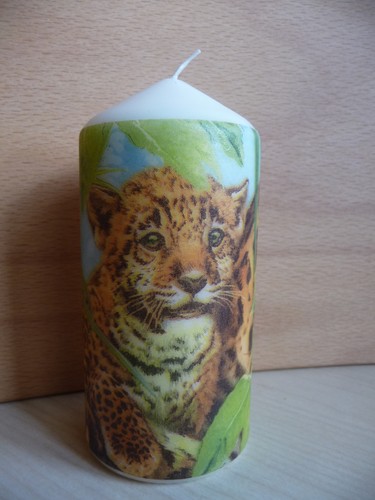 Deko kerze tiere raubkatze - deko,