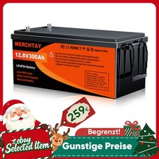 12V 300AH LiFePo4 Akku Lithium