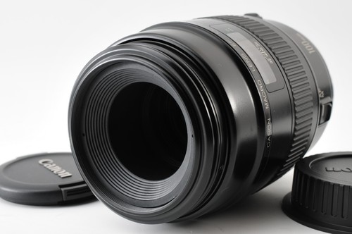 Canon 100mm 8 - canon, macro