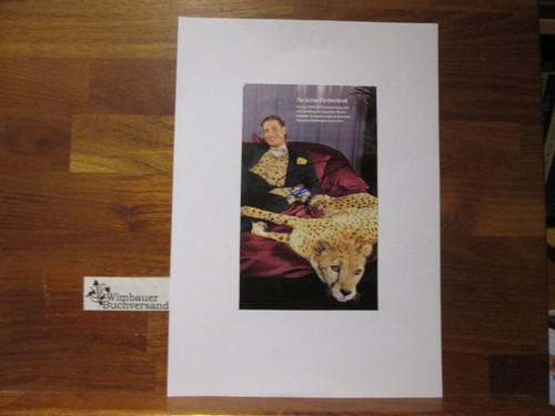 Original autogramm tim - autogramm,