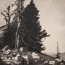 Eduard Baudrexel Tannen