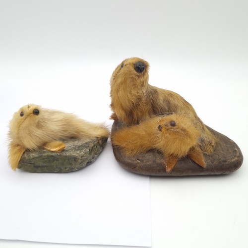 Robben figuren shetland - figuren,