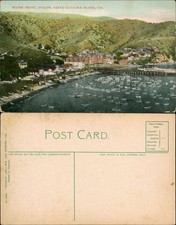 Postcard Santa Catalina Island California Water Front - USA 1911
