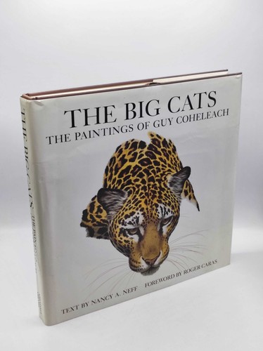The big cats - the,