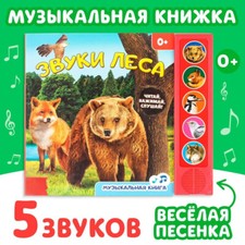 Buch Musikbuch Kinder