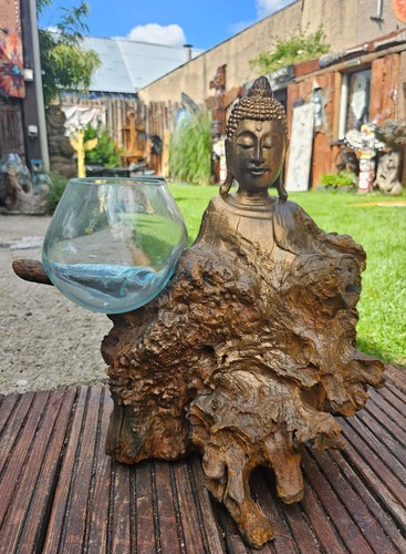 Wurzelholz buddha glasvase - buddha,
