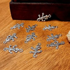 10 Eidechse Eidechsen