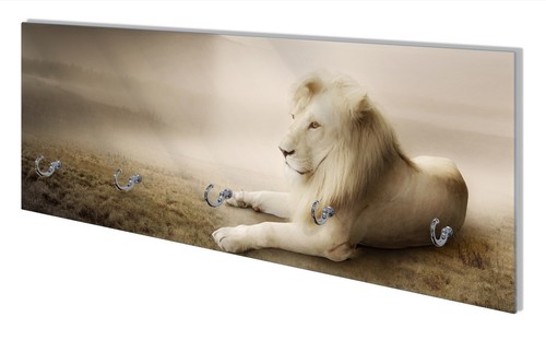 Wallario wandgarderobe glas - wallario,