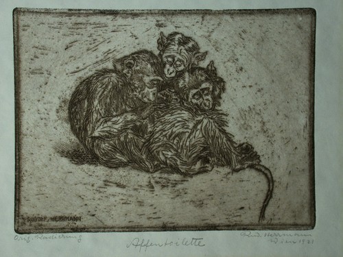 Rudolf hermann - rudolf,