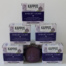 Kappus Violet Lilac Flieder