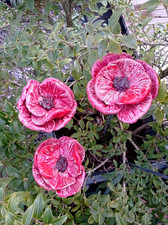 Gartenstecker, Keramik