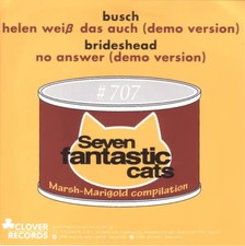 Busch brideshead knabenkraut - busch,, brideshead,