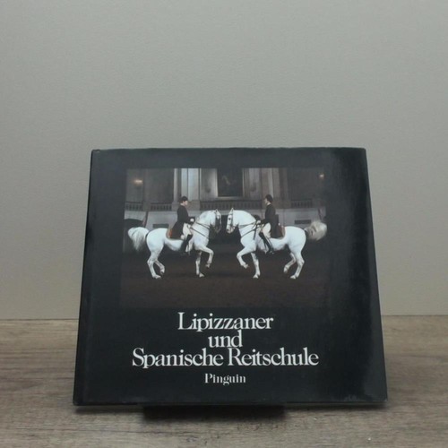 Lipizzaner und spanische - lipizzaner,