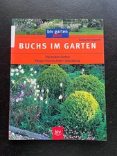 Buchs im Garten: Pflege