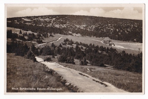 Riesengebirge schreiberhau - ak,
