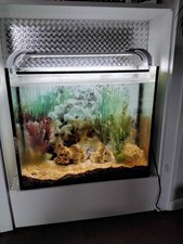 Aquarium Becken Glas