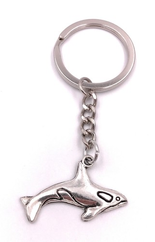 Delfin delphin wal fisch - delfin,