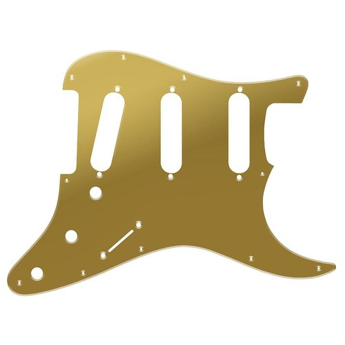 Gold eloxierte stratocaster - gold,