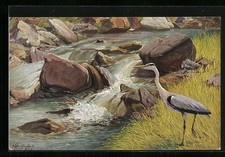 Künstler-AK Graureiher am Fluss 