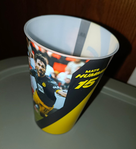 Borussia dortmund bvb - borussia,