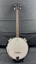 Johnson JB-080 5-String Banjo – Vintage – inkl. Koffer, spielbereit