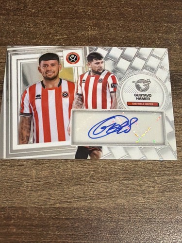 Gustavo hamer auto panini efl - hamer,