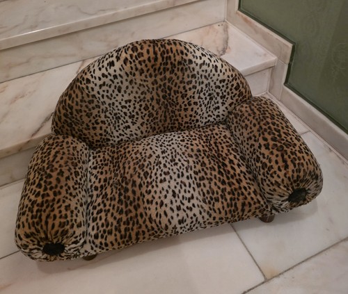 Hunde katzen couch tiger - &,