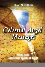 Celestial Angel Messages from Jesus and Other Spirits of Light Brian Holmes Buch
