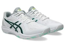 ASICS DYNAFEATHER 1073A064 102