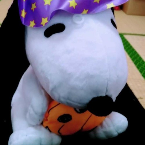 Halloween kuscheltier snoopy - halloween,