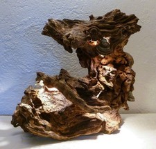 Wurzelskulptur/Tischlampe aus