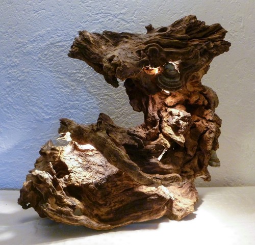 Wurzelskulptur tischlampe aus - wurzelskulptur/tischlampe,