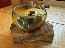 Glas Schale Holz Blattgold Unikat Kunsthandwerk Einzelstück Deko Dekoration