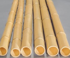 Bambusstange Moso 100cm gelb