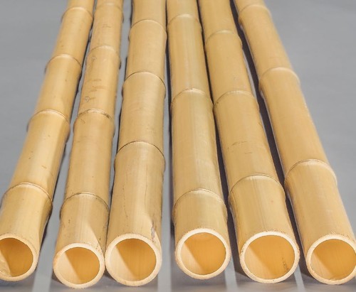 Bambusstange moso 100cm - bambusstange, gelb