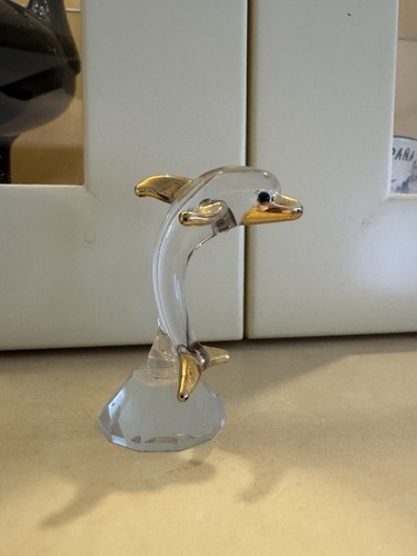 Kleiner glasdelphin schnabel - kleiner, glasdelphin,