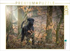 Calvendo puzzle - calvendo,