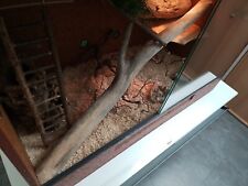 Terrarium Schlange 100x80x50 Farbe Braun