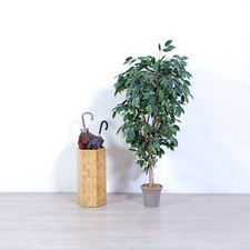 Vintage Sechseckiger