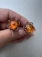 🐟 Fischland, G. Kramer -