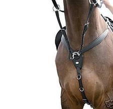 Kieffer Vorderzeug Jessica