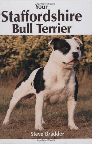 Your staffordshire bull - your,