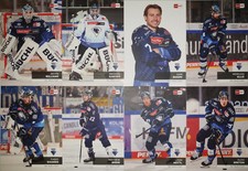 DEL Playercards 2024/2025 24/25 ERC Ingolstadt Einzelkarten zum aussuchen